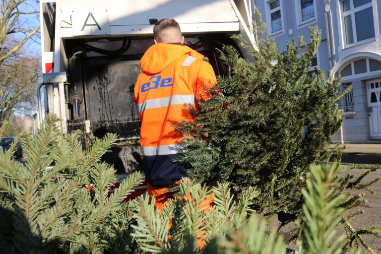 Kostenfreier Service der EBE: Entsorgung ausgedienter Weihnachtsbäume im Januar