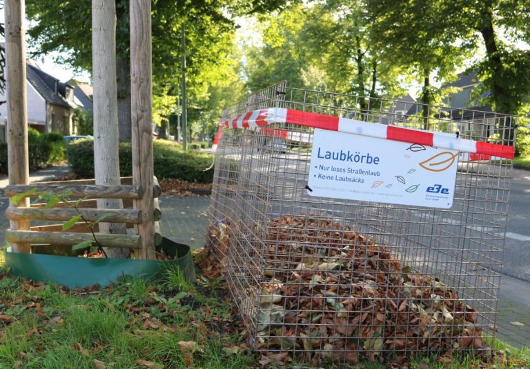 Laubkorb der EBE am Straßenrand