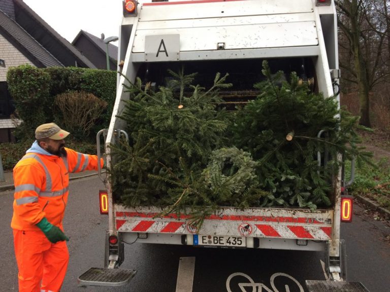 Essener Weihnachtsbaumabfuhr 2022