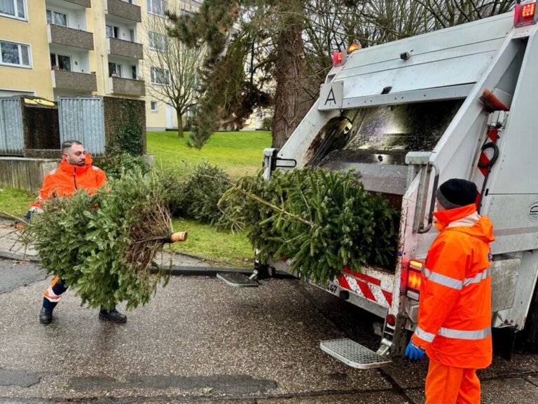 Tannenbaumsammlung der EBE mit dem Sperrmüllfahrzeug