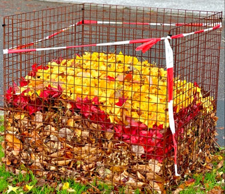 Laubkorb mit bunten Blättern